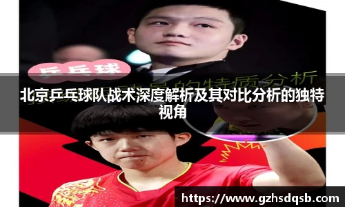 北京乒乓球队战术深度解析及其对比分析的独特视角